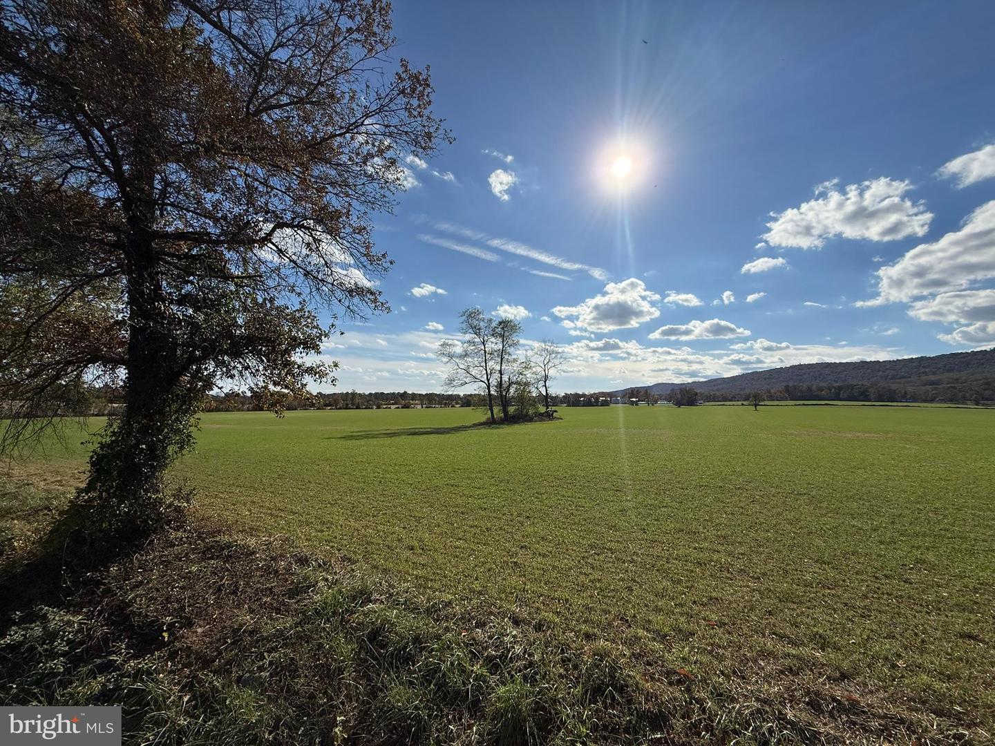 12080 AXLINE RD, LOVETTSVILLE, Virginia 20180, 4 Bedrooms Bedrooms, ,2 BathroomsBathrooms,Residential,For sale,12080 AXLINE RD,VALO2111328 MLS # VALO2111328