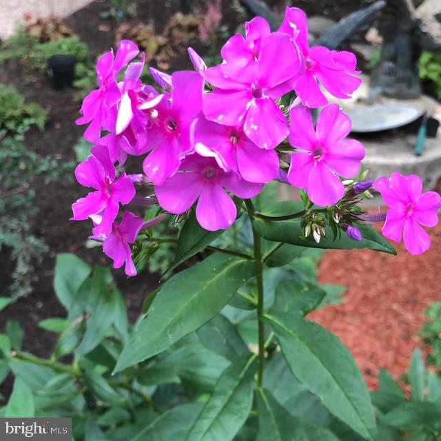 12080 AXLINE RD, LOVETTSVILLE, Virginia 20180, 4 Bedrooms Bedrooms, ,2 BathroomsBathrooms,Residential,For sale,12080 AXLINE RD,VALO2111328 MLS # VALO2111328