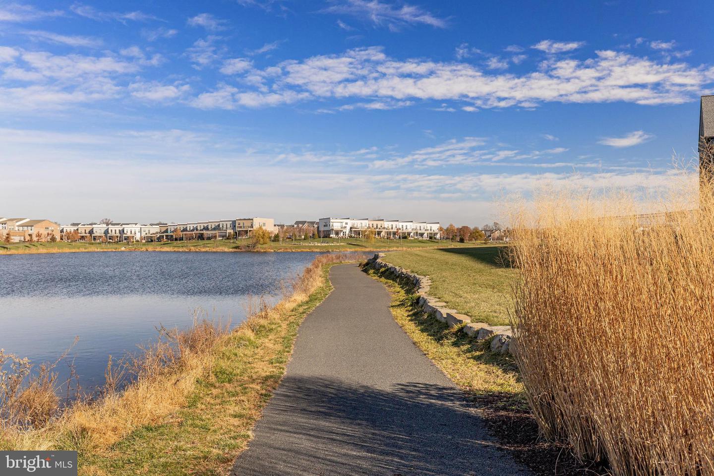 23731 SEPTEMBER SUN SQ, ASHBURN, Virginia 20148, 4 Bedrooms Bedrooms, ,4 BathroomsBathrooms,Residential,For sale,23731 SEPTEMBER SUN SQ,VALO2111558 MLS # VALO2111558 23731 SEPTEMBER SUN SQ, ASHBURN, Virginia 20148, 4 Bedrooms Bedrooms, ,4 BathroomsBathrooms,Residential,For sale,23731 SEPTEMBER SUN SQ,VALO2111558 MLS # VALO2111558