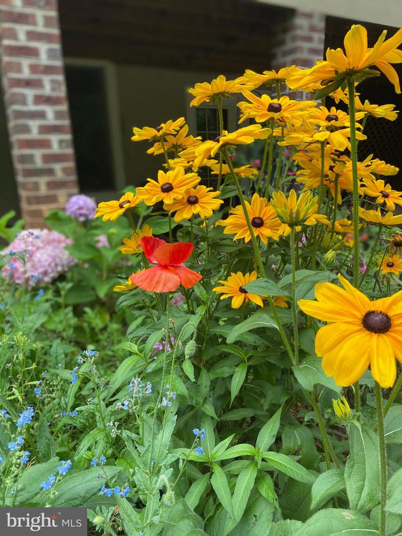 8182 ASHTON WAY, WARRENTON, Virginia 20186, 5 Bedrooms Bedrooms, ,3 BathroomsBathrooms,Residential,For sale,8182 ASHTON WAY,VAFQ2019726 MLS # VAFQ2019726