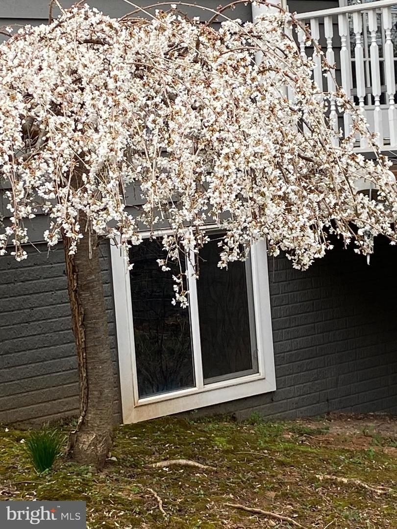 8182 ASHTON WAY, WARRENTON, Virginia 20186, 5 Bedrooms Bedrooms, ,3 BathroomsBathrooms,Residential,For sale,8182 ASHTON WAY,VAFQ2019726 MLS # VAFQ2019726