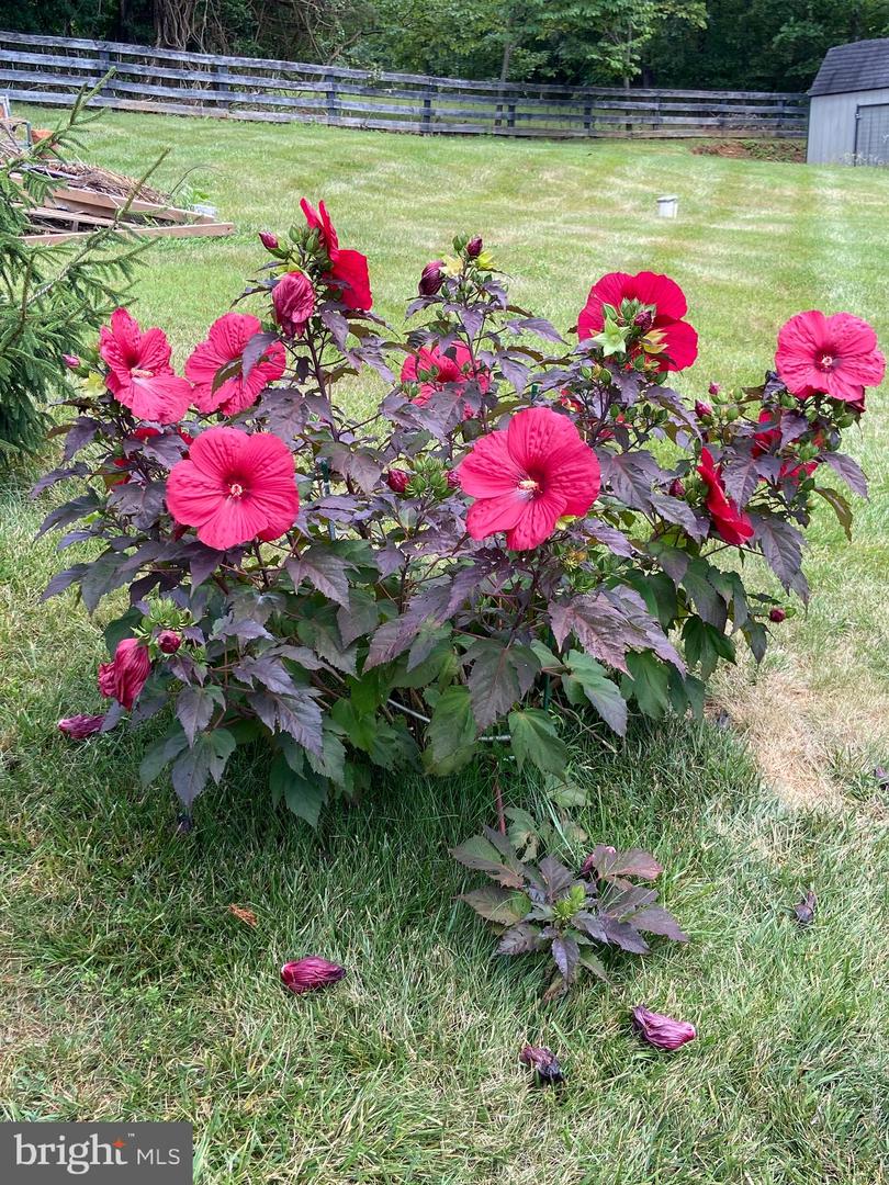 8182 ASHTON WAY, WARRENTON, Virginia 20186, 5 Bedrooms Bedrooms, ,3 BathroomsBathrooms,Residential,For sale,8182 ASHTON WAY,VAFQ2019726 MLS # VAFQ2019726