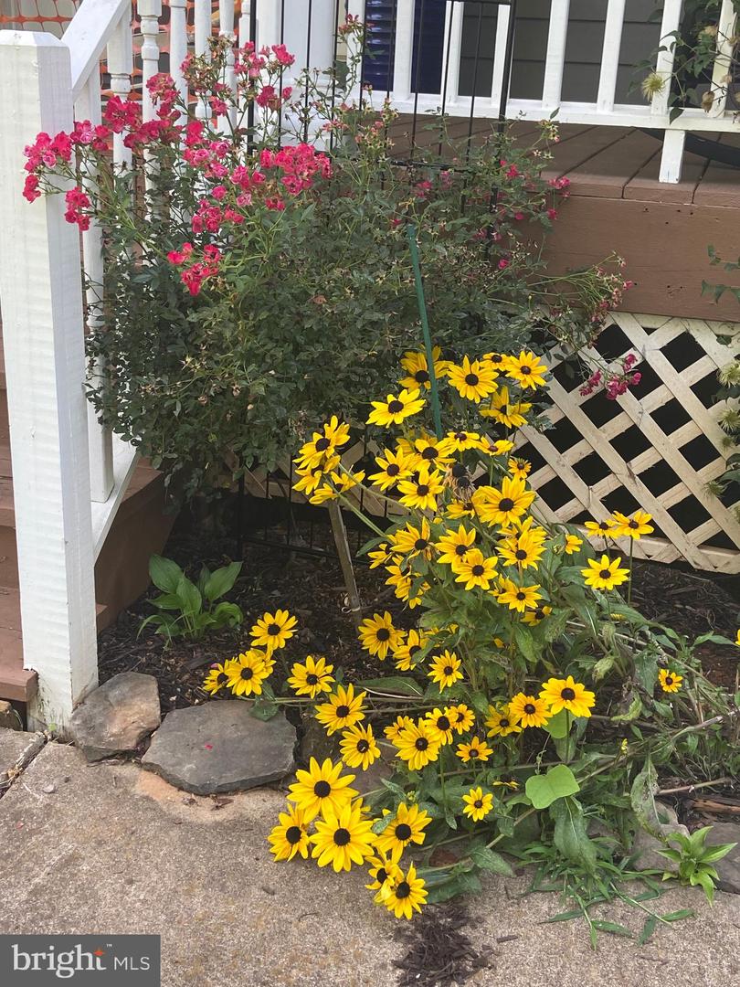 8182 ASHTON WAY, WARRENTON, Virginia 20186, 5 Bedrooms Bedrooms, ,3 BathroomsBathrooms,Residential,For sale,8182 ASHTON WAY,VAFQ2019726 MLS # VAFQ2019726