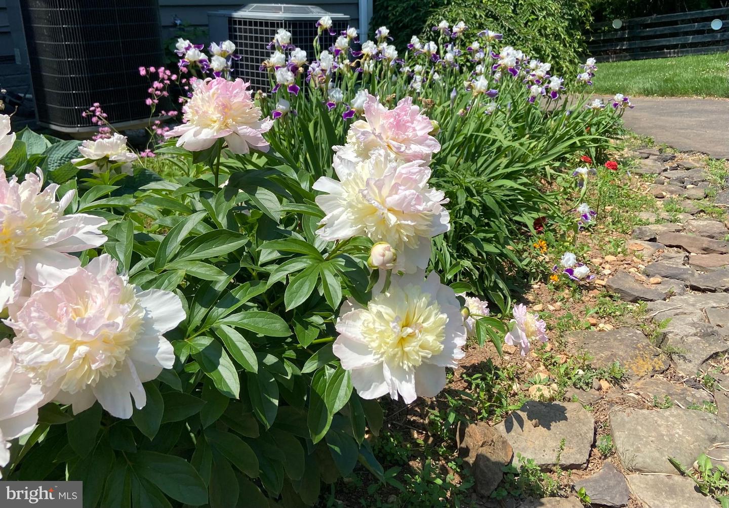 8182 ASHTON WAY, WARRENTON, Virginia 20186, 5 Bedrooms Bedrooms, ,3 BathroomsBathrooms,Residential,For sale,8182 ASHTON WAY,VAFQ2019726 MLS # VAFQ2019726