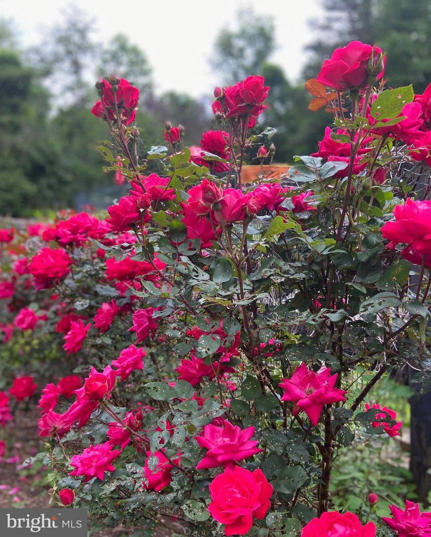 8182 ASHTON WAY, WARRENTON, Virginia 20186, 5 Bedrooms Bedrooms, ,3 BathroomsBathrooms,Residential,For sale,8182 ASHTON WAY,VAFQ2019726 MLS # VAFQ2019726