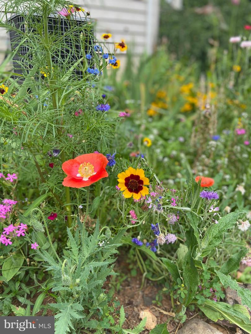 8182 ASHTON WAY, WARRENTON, Virginia 20186, 5 Bedrooms Bedrooms, ,3 BathroomsBathrooms,Residential,For sale,8182 ASHTON WAY,VAFQ2019726 MLS # VAFQ2019726