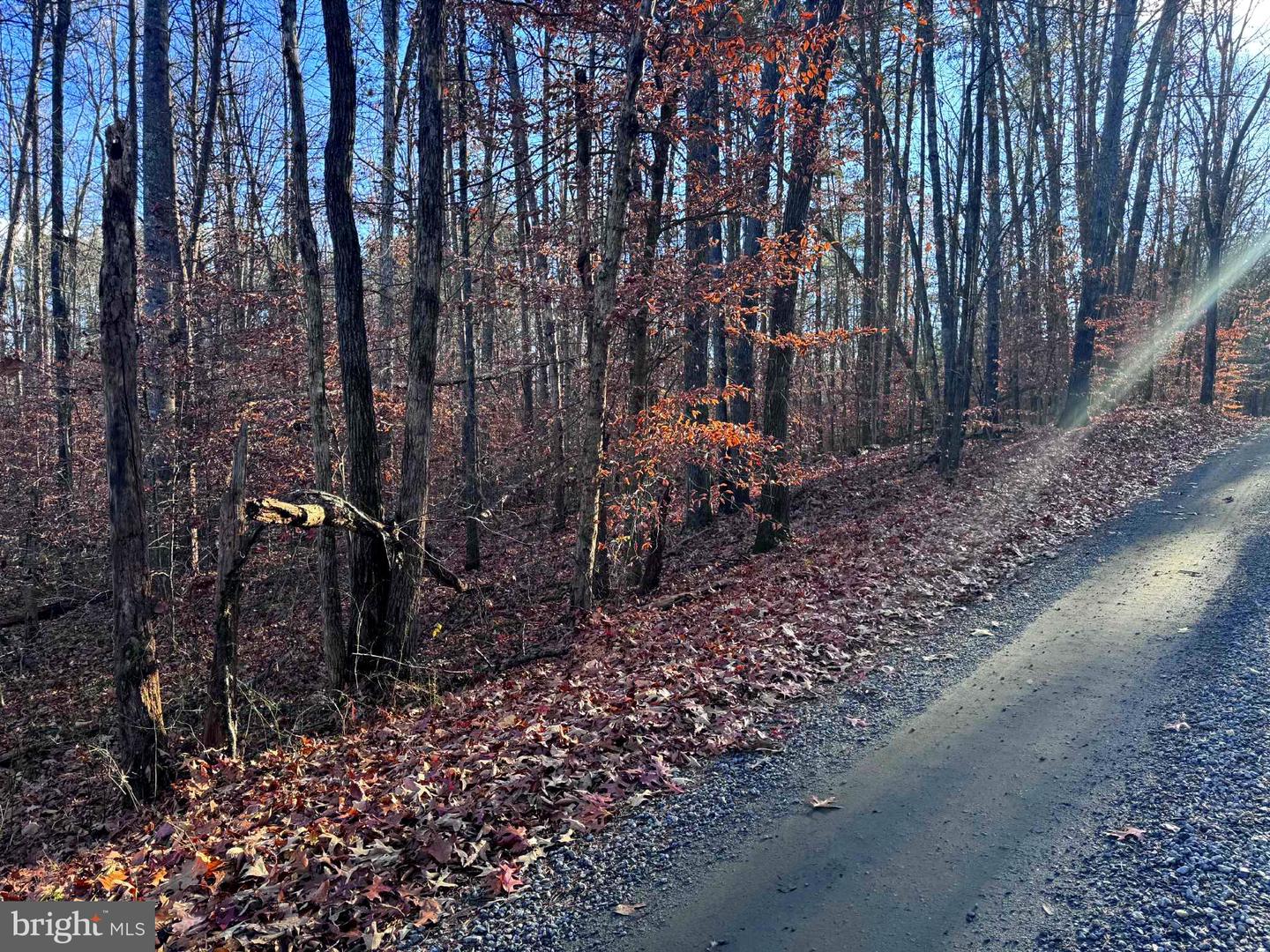 0 BUGGY LN, ROCHELLE, Virginia 22738, ,Land,For sale,0 BUGGY LN,VAMA2002548 MLS # VAMA2002548