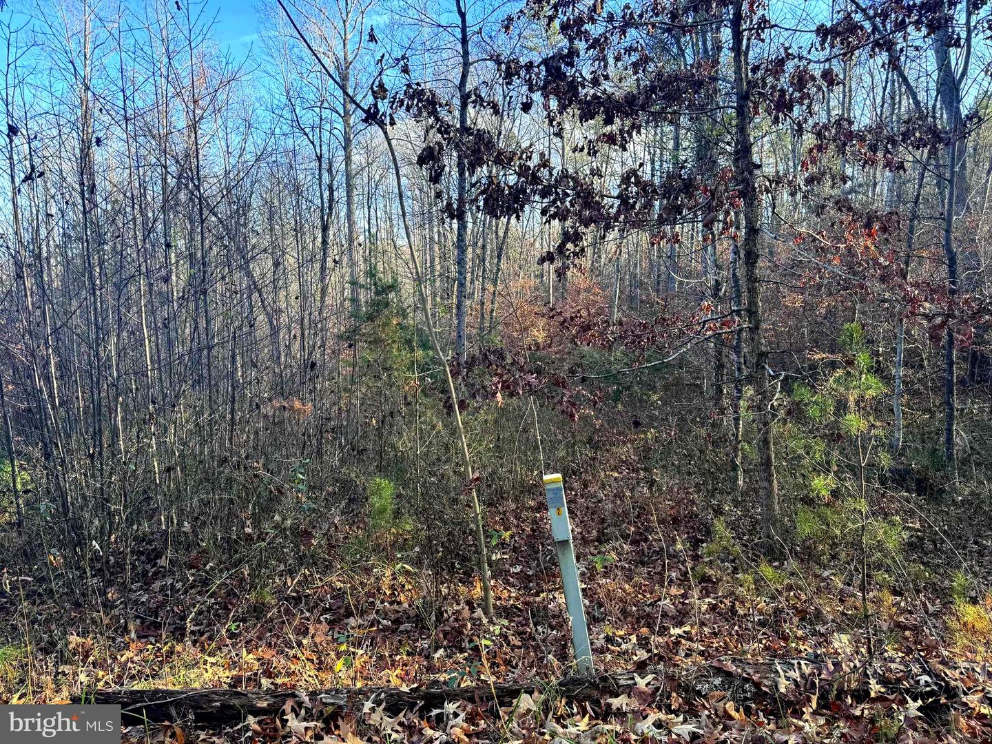 0 BUGGY LN, ROCHELLE, Virginia 22738, ,Land,For sale,0 BUGGY LN,VAMA2002548 MLS # VAMA2002548