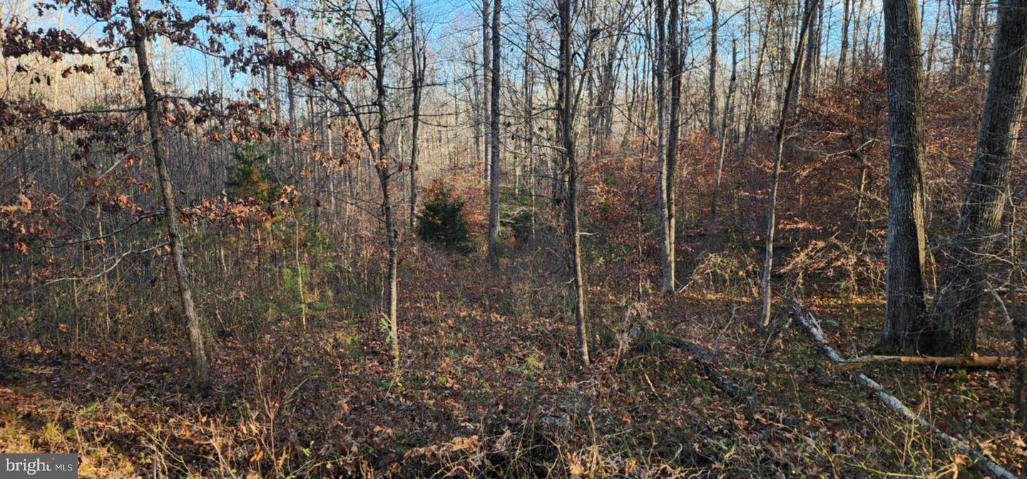 0 BUGGY LN, ROCHELLE, Virginia 22738, ,Land,For sale,0 BUGGY LN,VAMA2002548 MLS # VAMA2002548