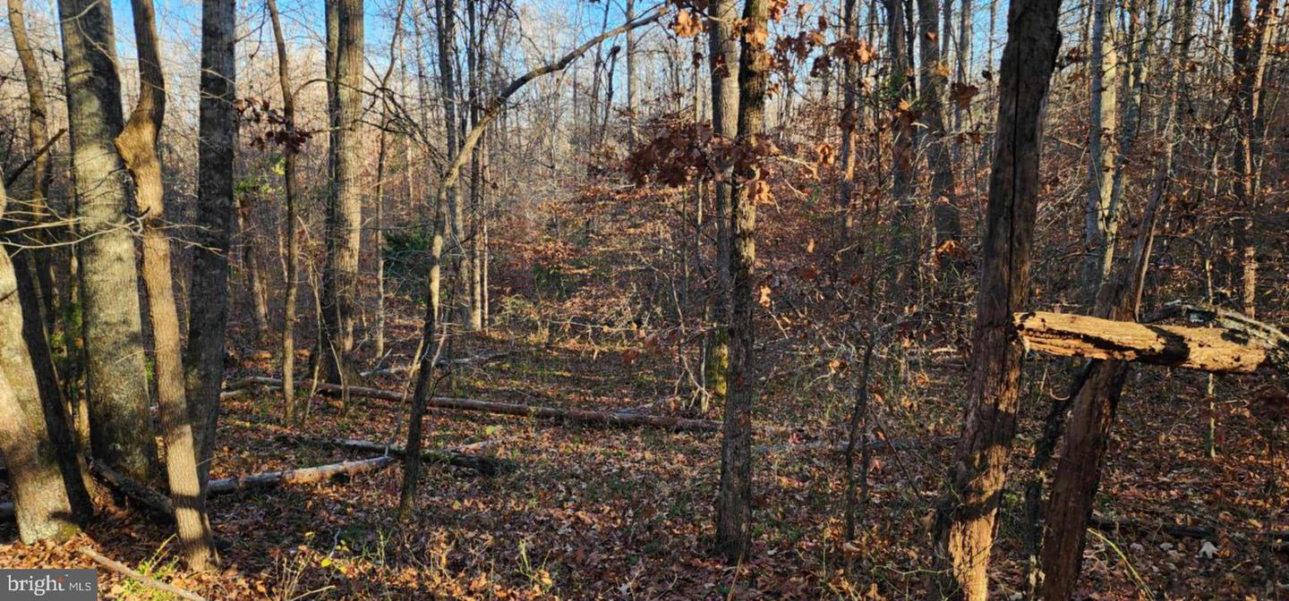 0 BUGGY LN, ROCHELLE, Virginia 22738, ,Land,For sale,0 BUGGY LN,VAMA2002548 MLS # VAMA2002548