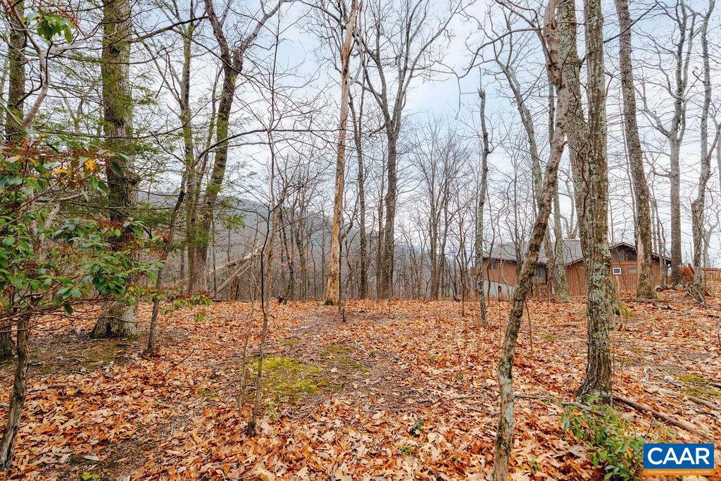 63 GUMTREE RD #108 LAUREL RIDGE, WINTERGREEN RESORT, Virginia 22967, ,Land,For sale,63 GUMTREE RD #108 LAUREL RIDGE,671480 MLS # 671480