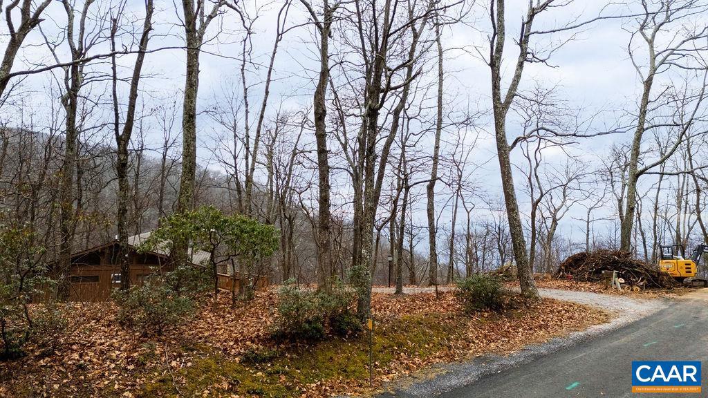 63 GUMTREE RD #108 LAUREL RIDGE, WINTERGREEN RESORT, Virginia 22967, ,Land,For sale,63 GUMTREE RD #108 LAUREL RIDGE,671480 MLS # 671480