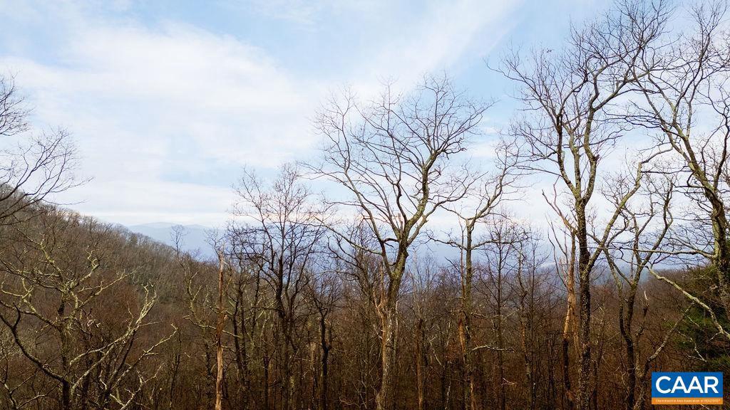 63 GUMTREE RD #108 LAUREL RIDGE, WINTERGREEN RESORT, Virginia 22967, ,Land,For sale,63 GUMTREE RD #108 LAUREL RIDGE,671480 MLS # 671480