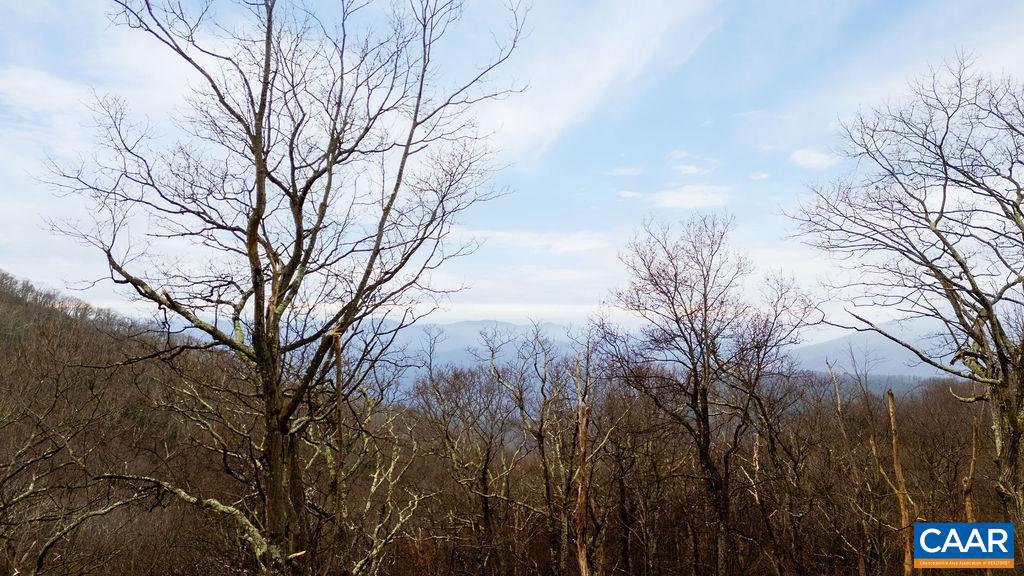 63 GUMTREE RD #108 LAUREL RIDGE, WINTERGREEN RESORT, Virginia 22967, ,Land,For sale,63 GUMTREE RD #108 LAUREL RIDGE,671480 MLS # 671480