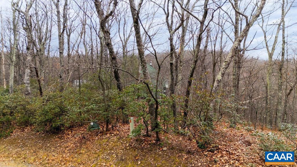 63 GUMTREE RD #108 LAUREL RIDGE, WINTERGREEN RESORT, Virginia 22967, ,Land,For sale,63 GUMTREE RD #108 LAUREL RIDGE,671480 MLS # 671480