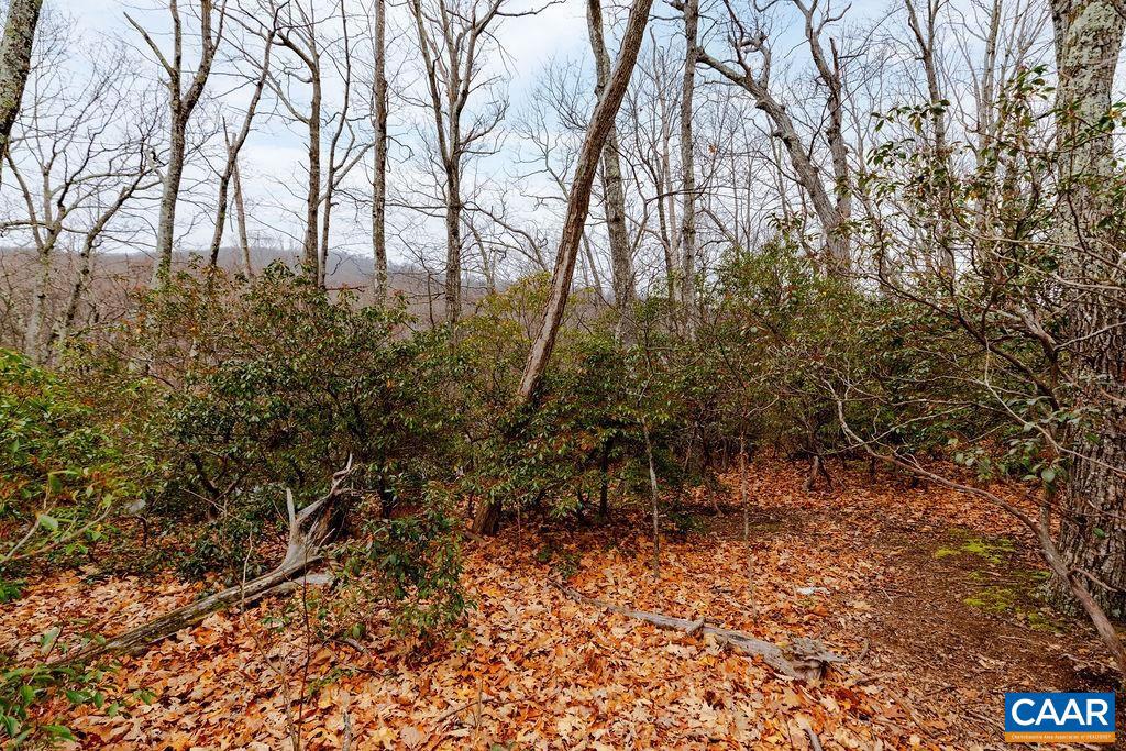 63 GUMTREE RD #108 LAUREL RIDGE, WINTERGREEN RESORT, Virginia 22967, ,Land,For sale,63 GUMTREE RD #108 LAUREL RIDGE,671480 MLS # 671480