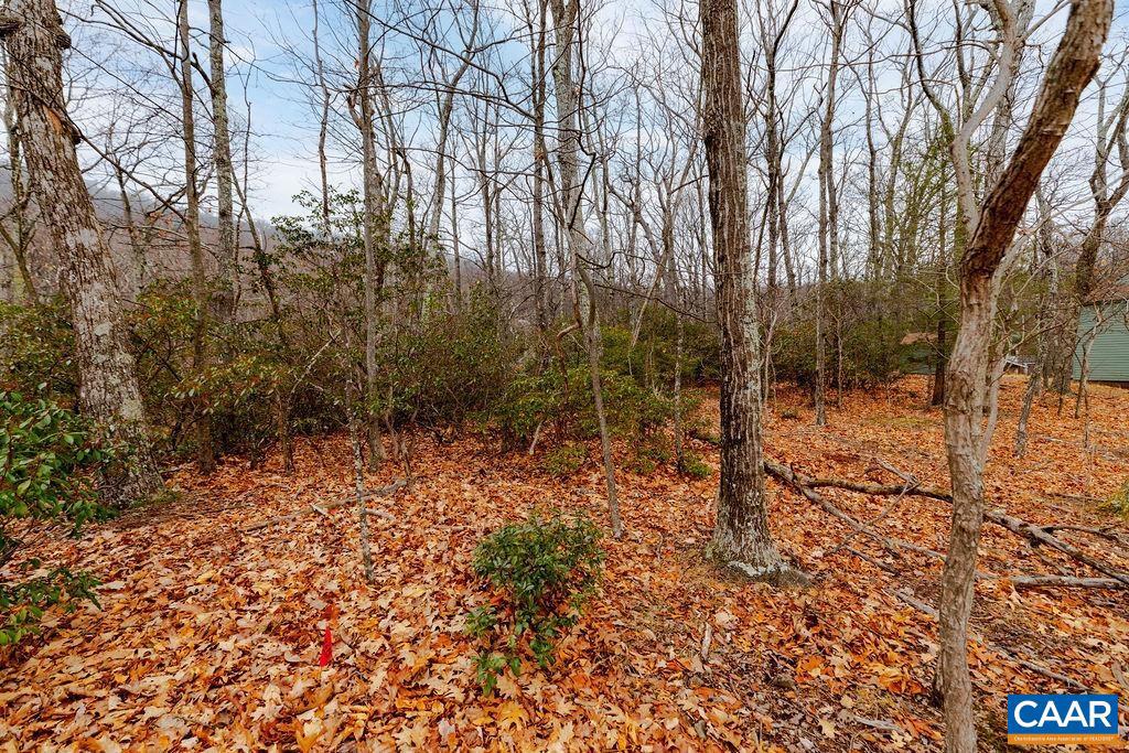 63 GUMTREE RD #108 LAUREL RIDGE, WINTERGREEN RESORT, Virginia 22967, ,Land,For sale,63 GUMTREE RD #108 LAUREL RIDGE,671480 MLS # 671480