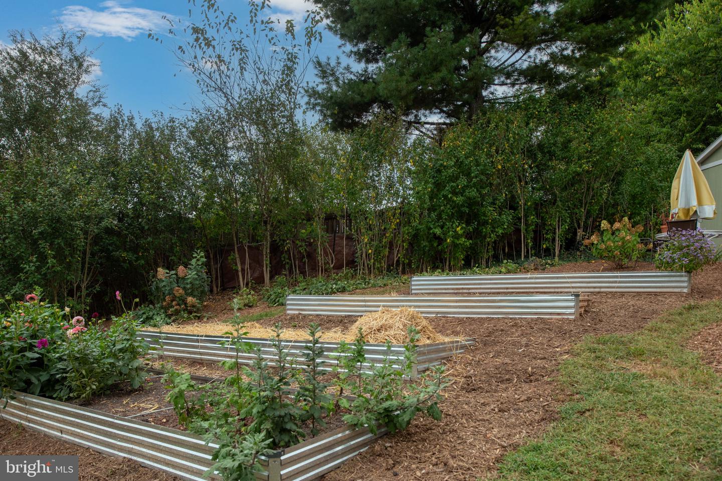 1314 S WEST ST, CULPEPER, Virginia 22701, 2 Bedrooms Bedrooms, ,1 BathroomBathrooms,Residential,For sale,1314 S WEST ST,VACU2011694 MLS # VACU2011694