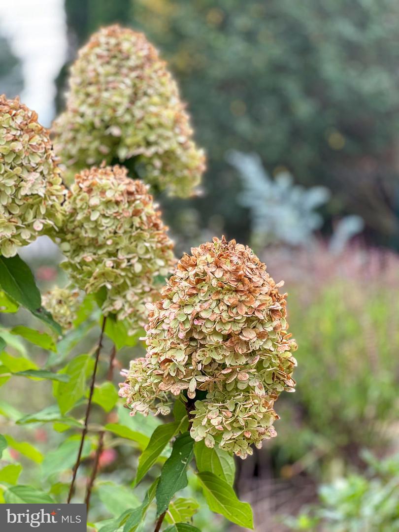 1314 S WEST ST, CULPEPER, Virginia 22701, 2 Bedrooms Bedrooms, ,1 BathroomBathrooms,Residential,For sale,1314 S WEST ST,VACU2011694 MLS # VACU2011694