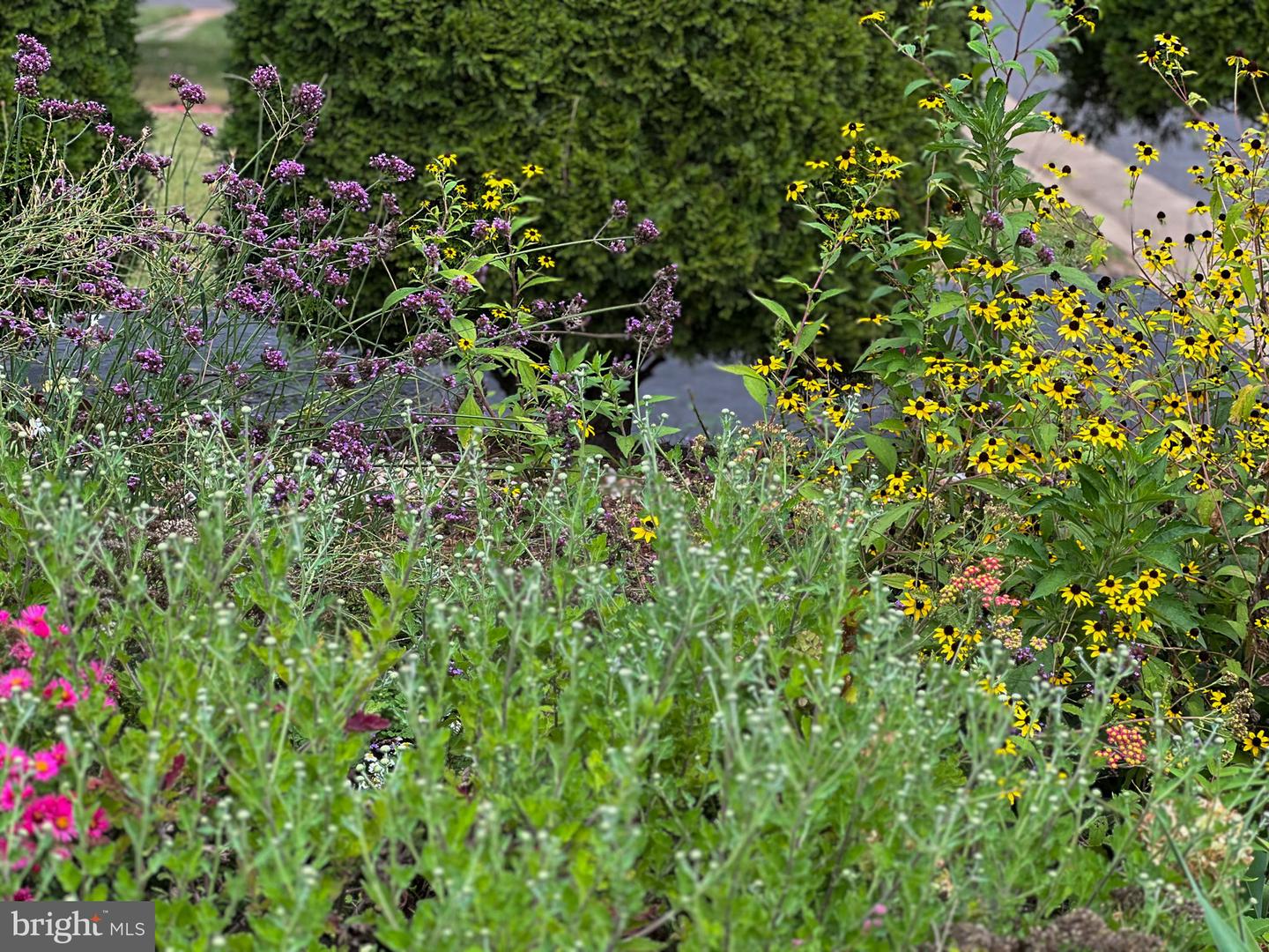 1314 S WEST ST, CULPEPER, Virginia 22701, 2 Bedrooms Bedrooms, ,1 BathroomBathrooms,Residential,For sale,1314 S WEST ST,VACU2011694 MLS # VACU2011694