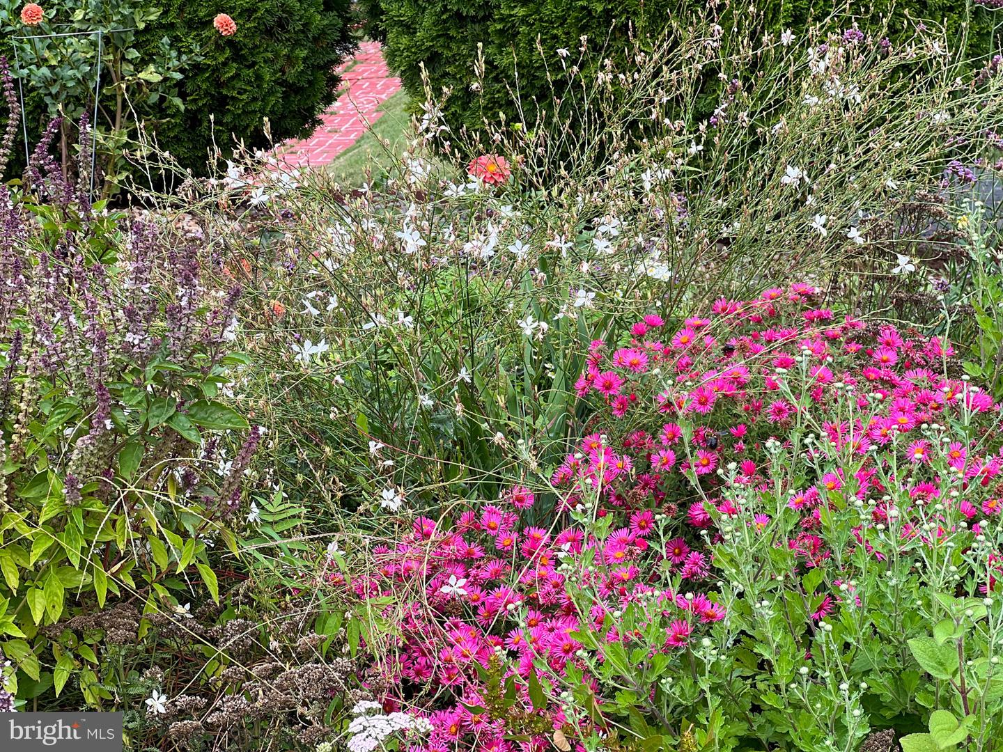 1314 S WEST ST, CULPEPER, Virginia 22701, 2 Bedrooms Bedrooms, ,1 BathroomBathrooms,Residential,For sale,1314 S WEST ST,VACU2011694 MLS # VACU2011694