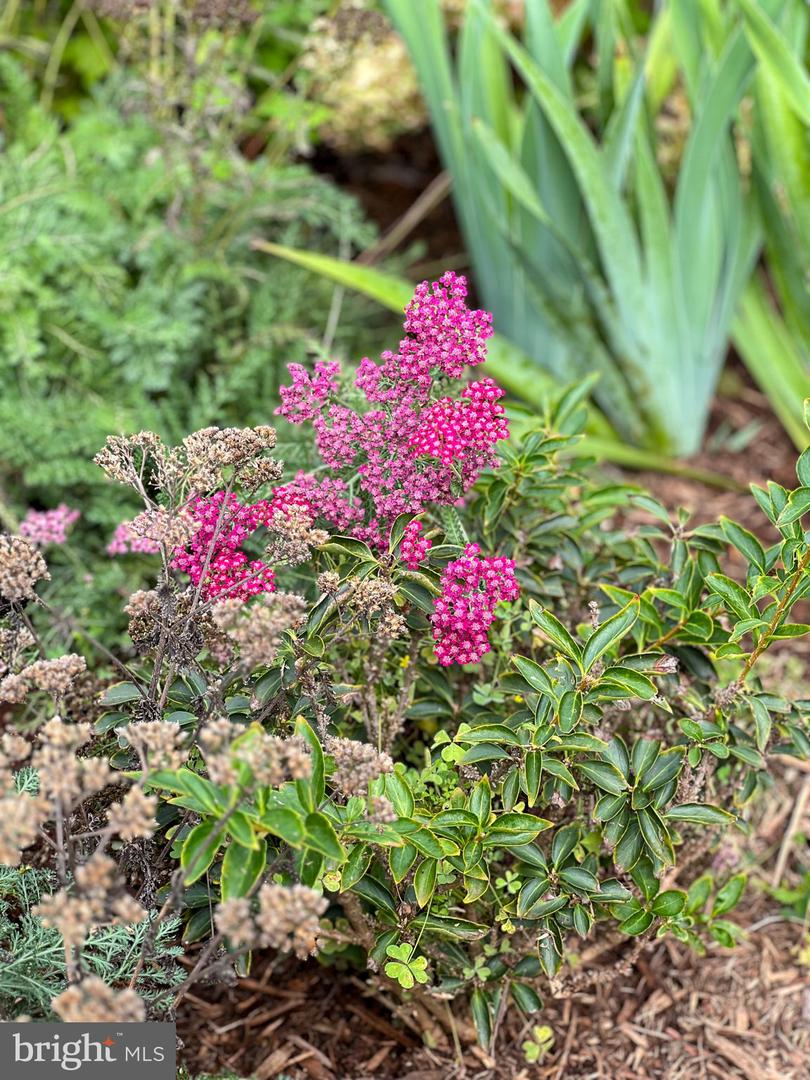 1314 S WEST ST, CULPEPER, Virginia 22701, 2 Bedrooms Bedrooms, ,1 BathroomBathrooms,Residential,For sale,1314 S WEST ST,VACU2011694 MLS # VACU2011694