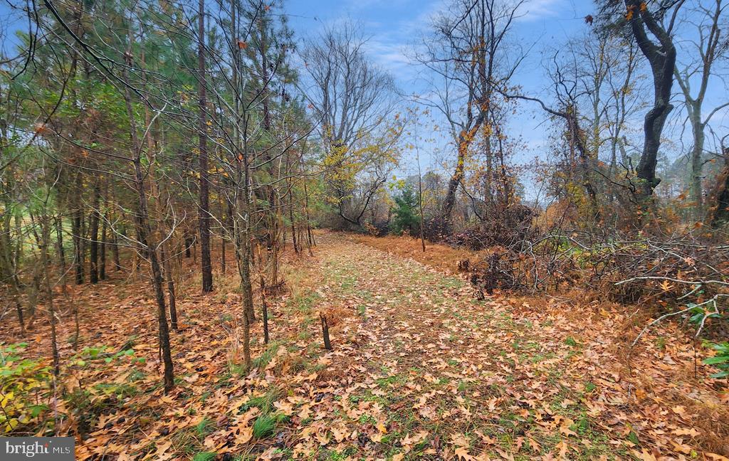 26355 MOUNT NEBO RD, ONANCOCK, Virginia 23417, 3 Bedrooms Bedrooms, ,2 BathroomsBathrooms,Residential,For sale,26355 MOUNT NEBO RD,VAAC2002428 MLS # VAAC2002428