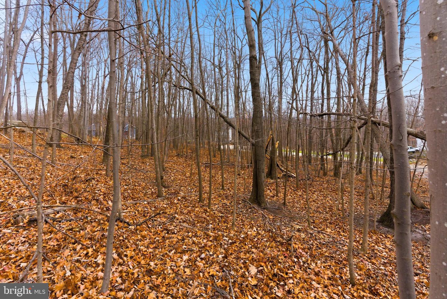 CARDINAL DR, WINCHESTER, Virginia 22602, ,Land,For sale,CARDINAL DR,VAFV2038232 MLS # VAFV2038232