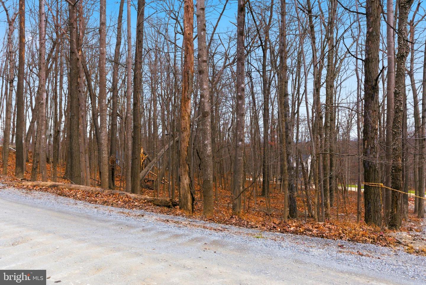 CARDINAL DR, WINCHESTER, Virginia 22602, ,Land,For sale,CARDINAL DR,VAFV2038232 MLS # VAFV2038232