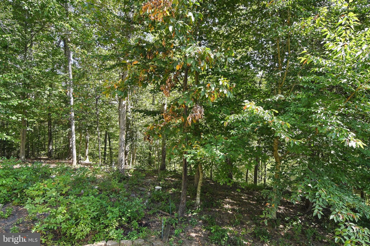 15333 WITS END DR, WOODBRIDGE, Virginia 22193, 6 Bedrooms Bedrooms, 3 Rooms Rooms,4 BathroomsBathrooms,Residential,For sale,15333 WITS END DR,VAPW2105342 MLS # VAPW2105342 15333 WITS END DR, WOODBRIDGE, Virginia 22193, 6 Bedrooms Bedrooms, 3 Rooms Rooms,4 BathroomsBathrooms,Residential,For sale,15333 WITS END DR,VAPW2105342 MLS # VAPW2105342