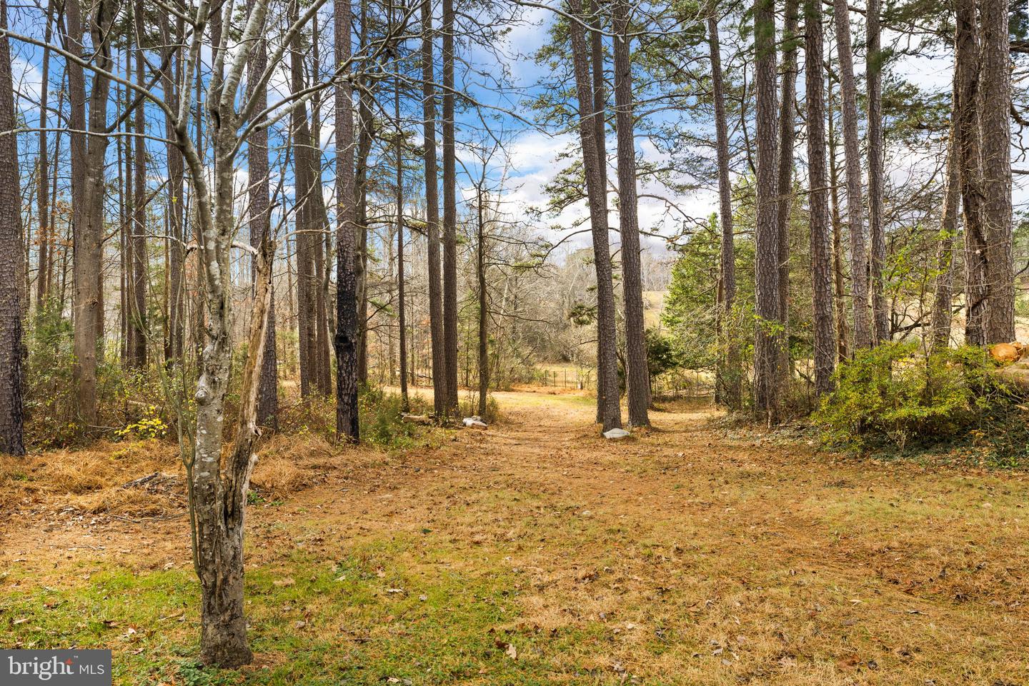 42 WESTVIEW RD, RUCKERSVILLE, Virginia 22968, 3 Bedrooms Bedrooms, ,2 BathroomsBathrooms,Residential,For sale,42 WESTVIEW RD,VAGR2000782 MLS # VAGR2000782