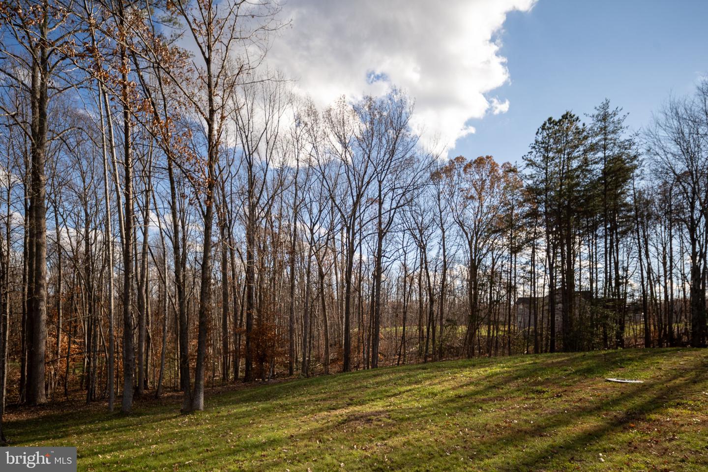 301 KINGDOM DR, FREDERICKSBURG, Virginia 22406, 5 Bedrooms Bedrooms, ,3 BathroomsBathrooms,Residential,For sale,301 KINGDOM DR,VAST2044390 MLS # VAST2044390 301 KINGDOM DR, FREDERICKSBURG, Virginia 22406, 5 Bedrooms Bedrooms, ,3 BathroomsBathrooms,Residential,For sale,301 KINGDOM DR,VAST2044390 MLS # VAST2044390