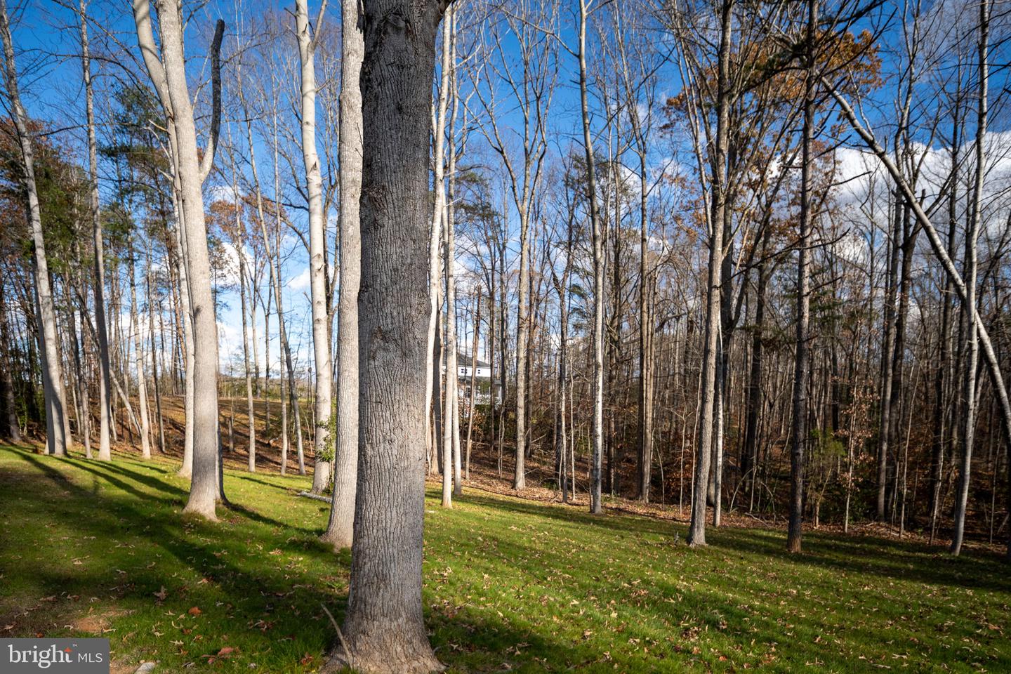 301 KINGDOM DR, FREDERICKSBURG, Virginia 22406, 5 Bedrooms Bedrooms, ,3 BathroomsBathrooms,Residential,For sale,301 KINGDOM DR,VAST2044390 MLS # VAST2044390 301 KINGDOM DR, FREDERICKSBURG, Virginia 22406, 5 Bedrooms Bedrooms, ,3 BathroomsBathrooms,Residential,For sale,301 KINGDOM DR,VAST2044390 MLS # VAST2044390