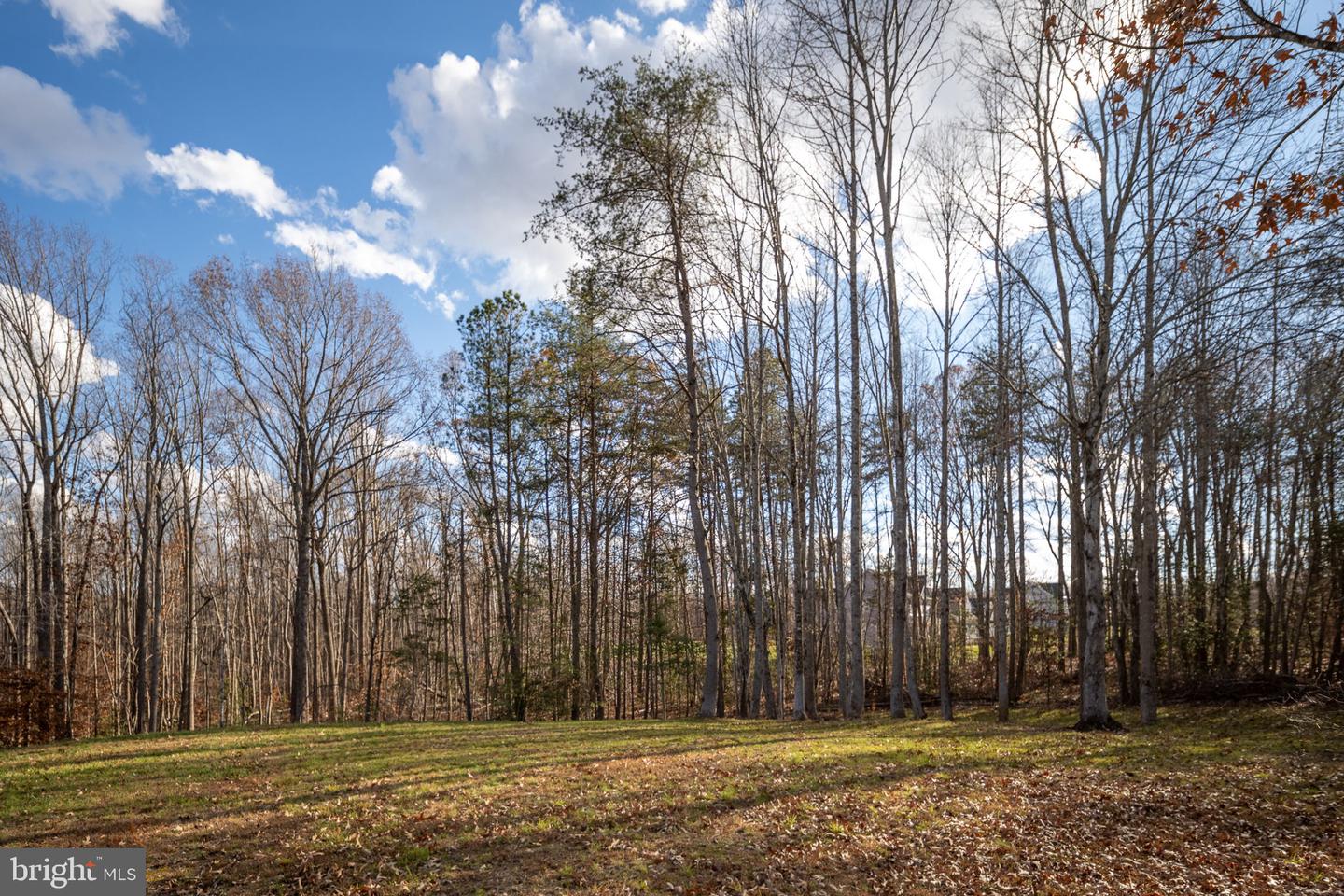 301 KINGDOM DR, FREDERICKSBURG, Virginia 22406, 5 Bedrooms Bedrooms, ,3 BathroomsBathrooms,Residential,For sale,301 KINGDOM DR,VAST2044390 MLS # VAST2044390 301 KINGDOM DR, FREDERICKSBURG, Virginia 22406, 5 Bedrooms Bedrooms, ,3 BathroomsBathrooms,Residential,For sale,301 KINGDOM DR,VAST2044390 MLS # VAST2044390