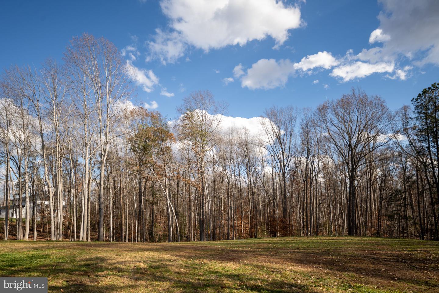 301 KINGDOM DR, FREDERICKSBURG, Virginia 22406, 5 Bedrooms Bedrooms, ,3 BathroomsBathrooms,Residential,For sale,301 KINGDOM DR,VAST2044390 MLS # VAST2044390 301 KINGDOM DR, FREDERICKSBURG, Virginia 22406, 5 Bedrooms Bedrooms, ,3 BathroomsBathrooms,Residential,For sale,301 KINGDOM DR,VAST2044390 MLS # VAST2044390