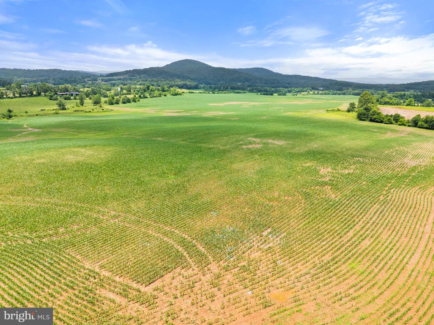 10674 ADA RD, MARSHALL, Virginia 20115, 1 Bedroom Bedrooms, ,1 BathroomBathrooms,Farm,For sale,10674 ADA RD,VAFQ2016990 MLS # VAFQ2016990