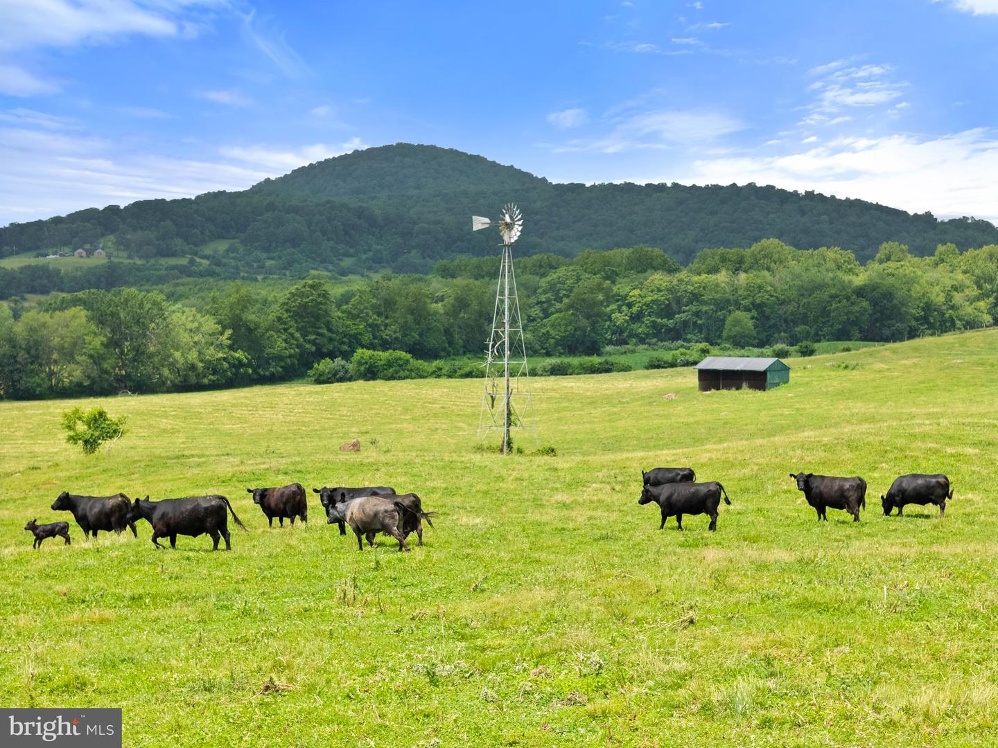 10674 ADA RD, MARSHALL, Virginia 20115, 1 Bedroom Bedrooms, ,1 BathroomBathrooms,Farm,For sale,10674 ADA RD,VAFQ2016990 MLS # VAFQ2016990