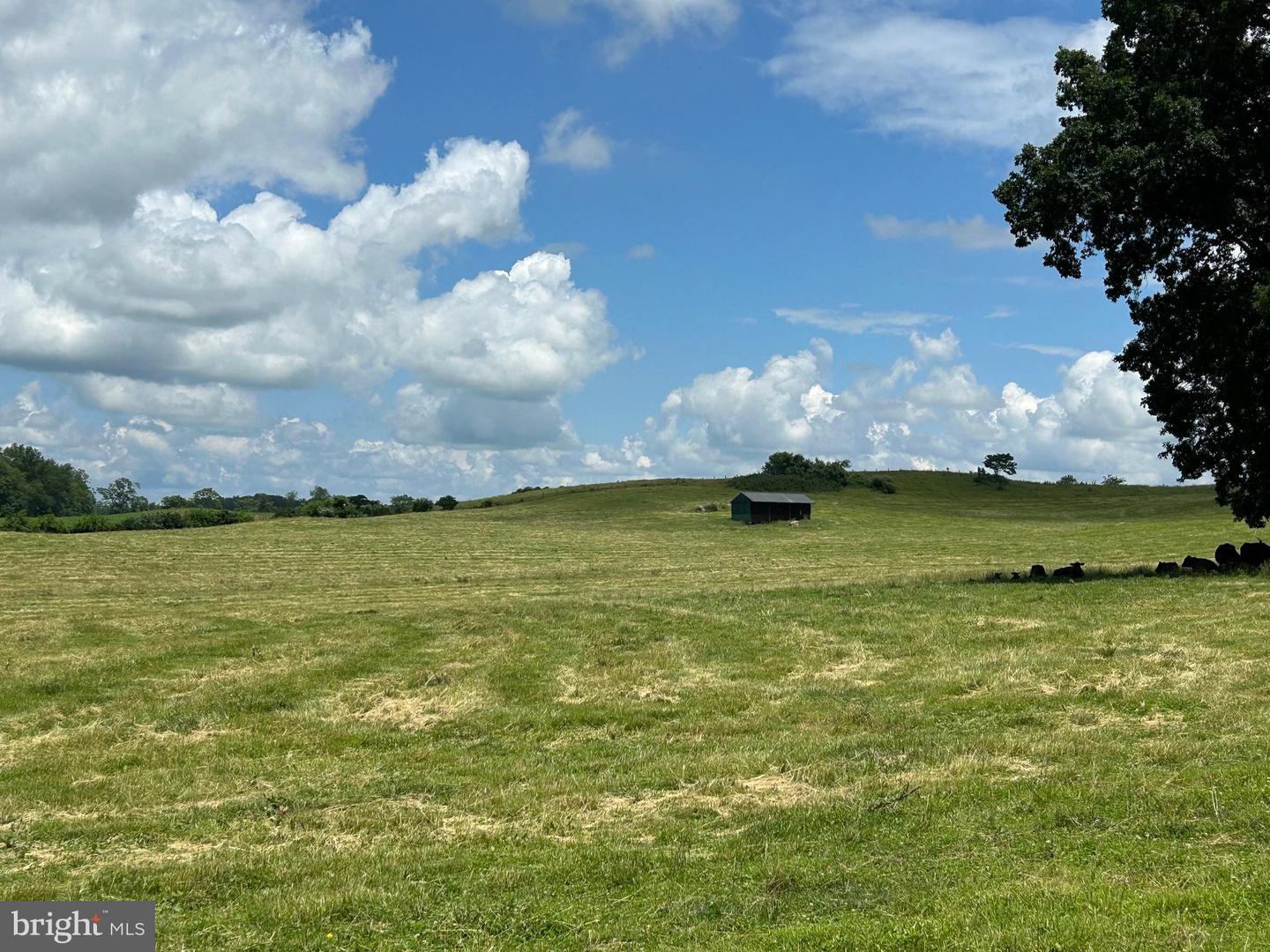 10674 ADA RD, MARSHALL, Virginia 20115, 1 Bedroom Bedrooms, ,1 BathroomBathrooms,Farm,For sale,10674 ADA RD,VAFQ2016990 MLS # VAFQ2016990