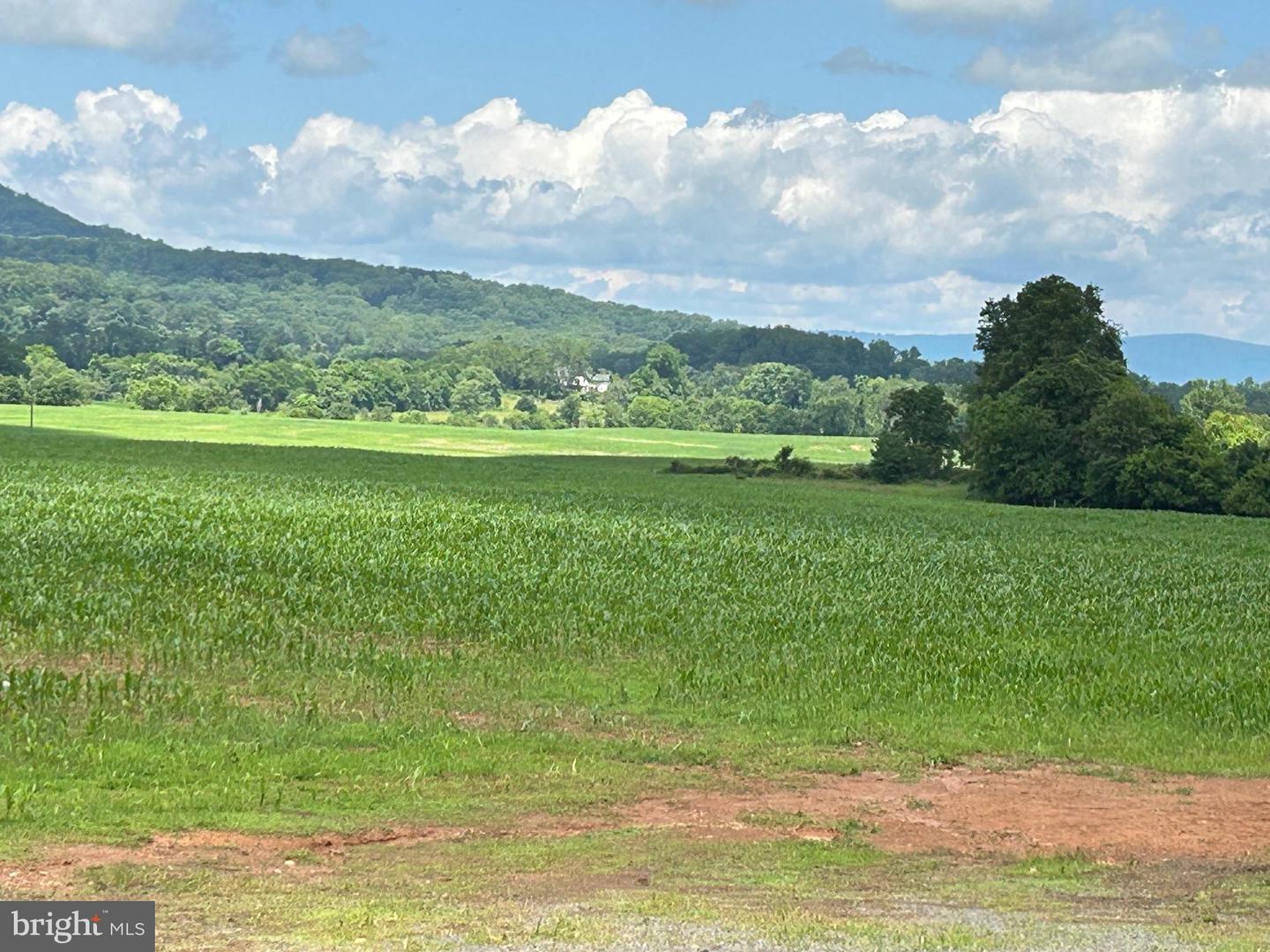 10674 ADA RD, MARSHALL, Virginia 20115, 1 Bedroom Bedrooms, ,1 BathroomBathrooms,Farm,For sale,10674 ADA RD,VAFQ2016990 MLS # VAFQ2016990