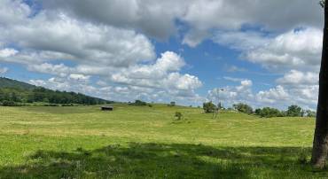 10674 ADA RD, MARSHALL, Virginia 20115, 1 Bedroom Bedrooms, ,1 BathroomBathrooms,Farm,For sale,10674 ADA RD,VAFQ2016990 MLS # VAFQ2016990