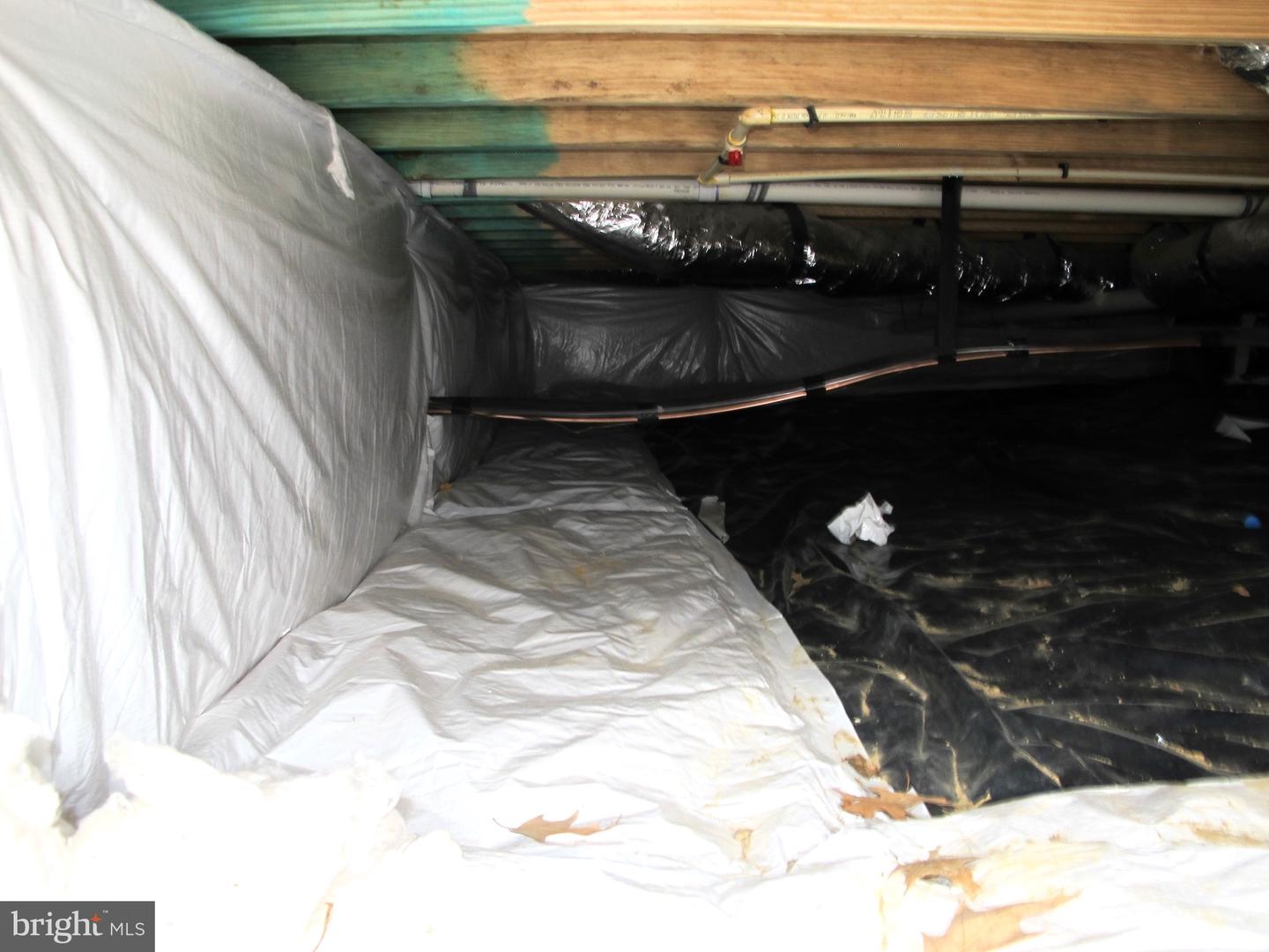 1252 SHORE DR, COLONIAL BEACH, Virginia 22443, 3 Bedrooms Bedrooms, ,2 BathroomsBathrooms,Residential,For sale,1252 SHORE DR,VAWE2008584 MLS # VAWE2008584