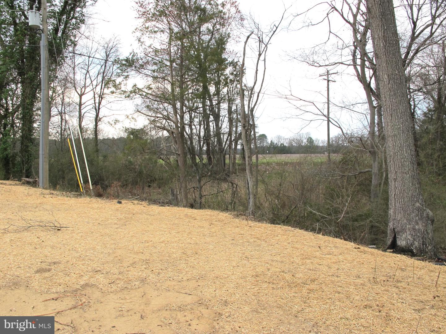 1252 SHORE DR, COLONIAL BEACH, Virginia 22443, 3 Bedrooms Bedrooms, ,2 BathroomsBathrooms,Residential,For sale,1252 SHORE DR,VAWE2008584 MLS # VAWE2008584