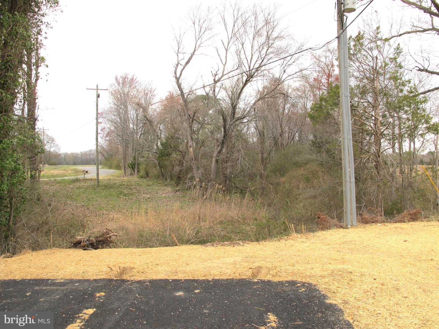 1252 SHORE DR, COLONIAL BEACH, Virginia 22443, 3 Bedrooms Bedrooms, ,2 BathroomsBathrooms,Residential,For sale,1252 SHORE DR,VAWE2008584 MLS # VAWE2008584