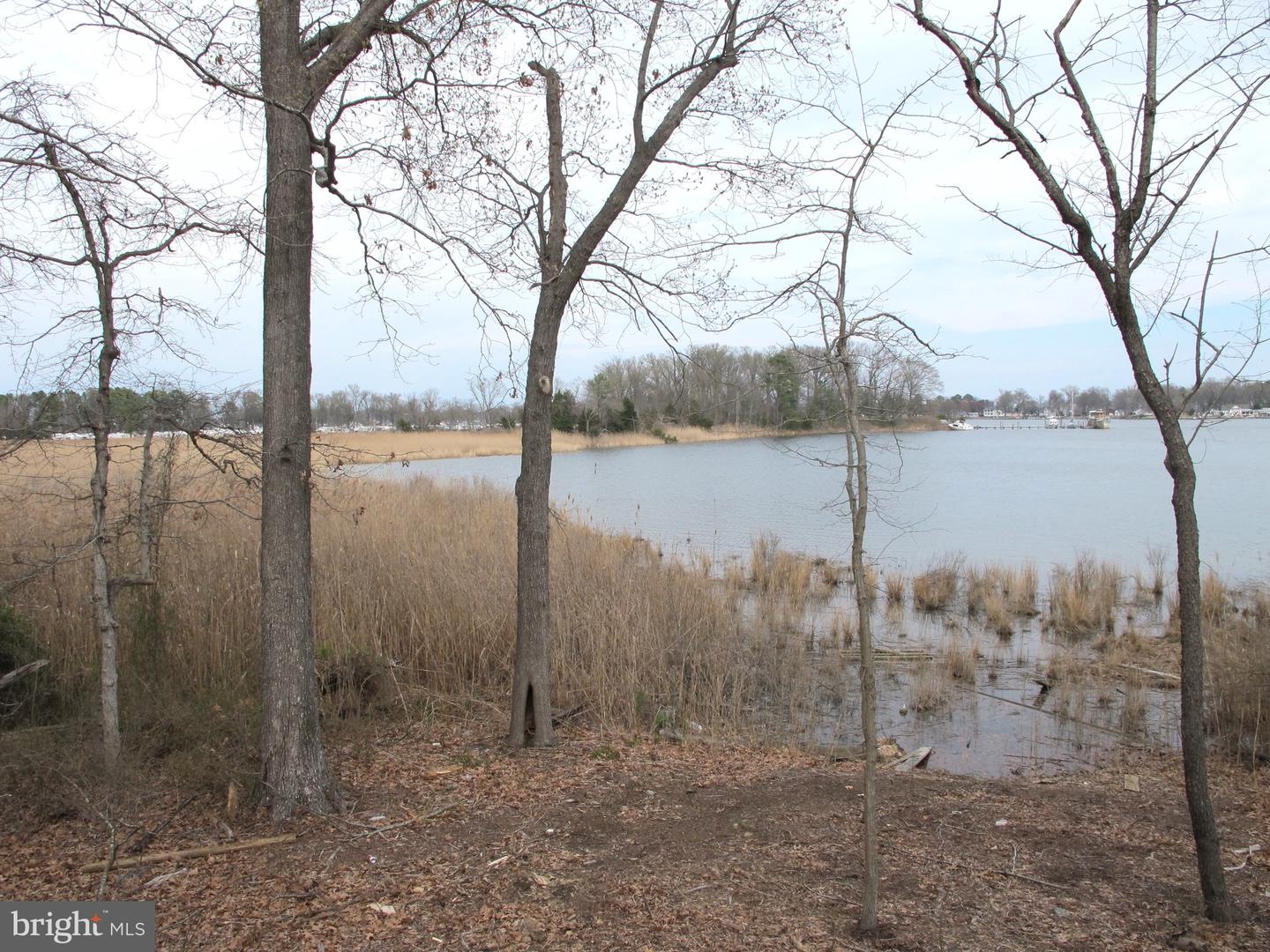 1252 SHORE DR, COLONIAL BEACH, Virginia 22443, 3 Bedrooms Bedrooms, ,2 BathroomsBathrooms,Residential,For sale,1252 SHORE DR,VAWE2008584 MLS # VAWE2008584