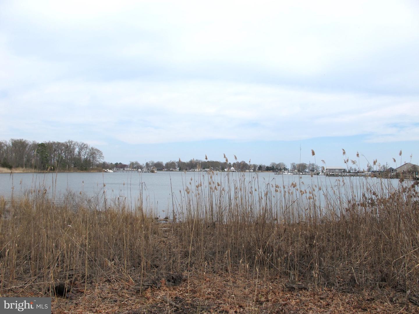 1252 SHORE DR, COLONIAL BEACH, Virginia 22443, 3 Bedrooms Bedrooms, ,2 BathroomsBathrooms,Residential,For sale,1252 SHORE DR,VAWE2008584 MLS # VAWE2008584