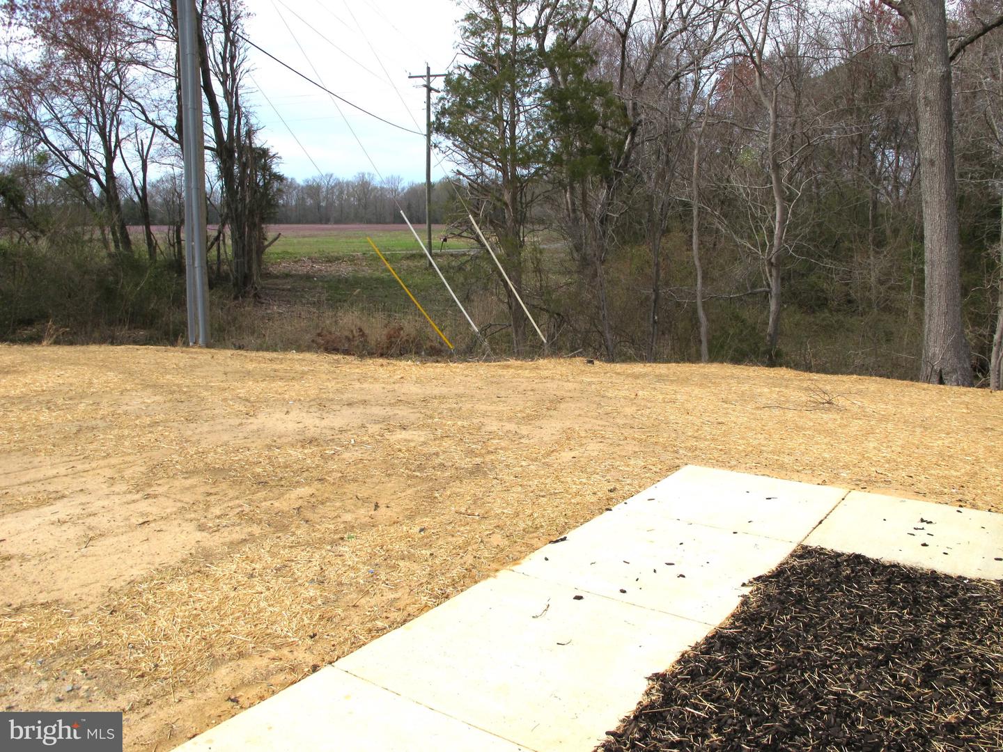 1252 SHORE DR, COLONIAL BEACH, Virginia 22443, 3 Bedrooms Bedrooms, ,2 BathroomsBathrooms,Residential,For sale,1252 SHORE DR,VAWE2008584 MLS # VAWE2008584