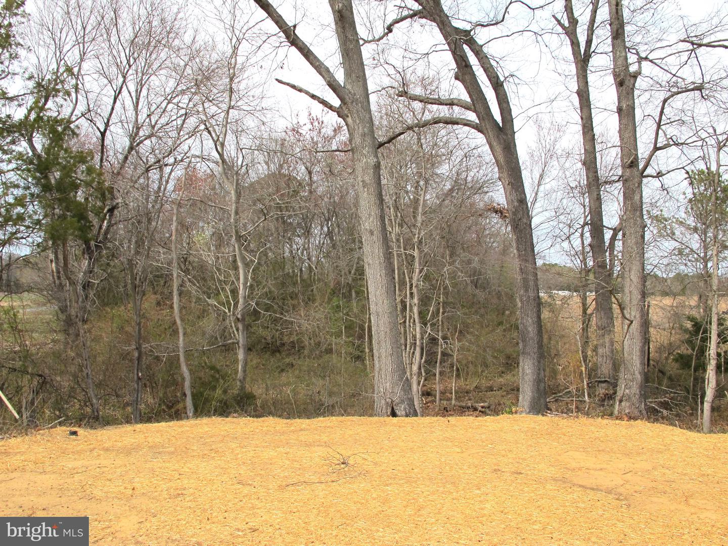 1252 SHORE DR, COLONIAL BEACH, Virginia 22443, 3 Bedrooms Bedrooms, ,2 BathroomsBathrooms,Residential,For sale,1252 SHORE DR,VAWE2008584 MLS # VAWE2008584