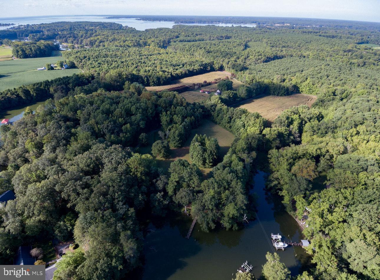 000 OLD FAIRPORT RD, REEDVILLE, Virginia 22539, ,Land,For sale,000 OLD FAIRPORT RD,VANV2001822 MLS # VANV2001822