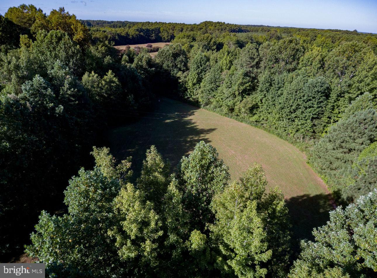 000 OLD FAIRPORT RD, REEDVILLE, Virginia 22539, ,Land,For sale,000 OLD FAIRPORT RD,VANV2001822 MLS # VANV2001822