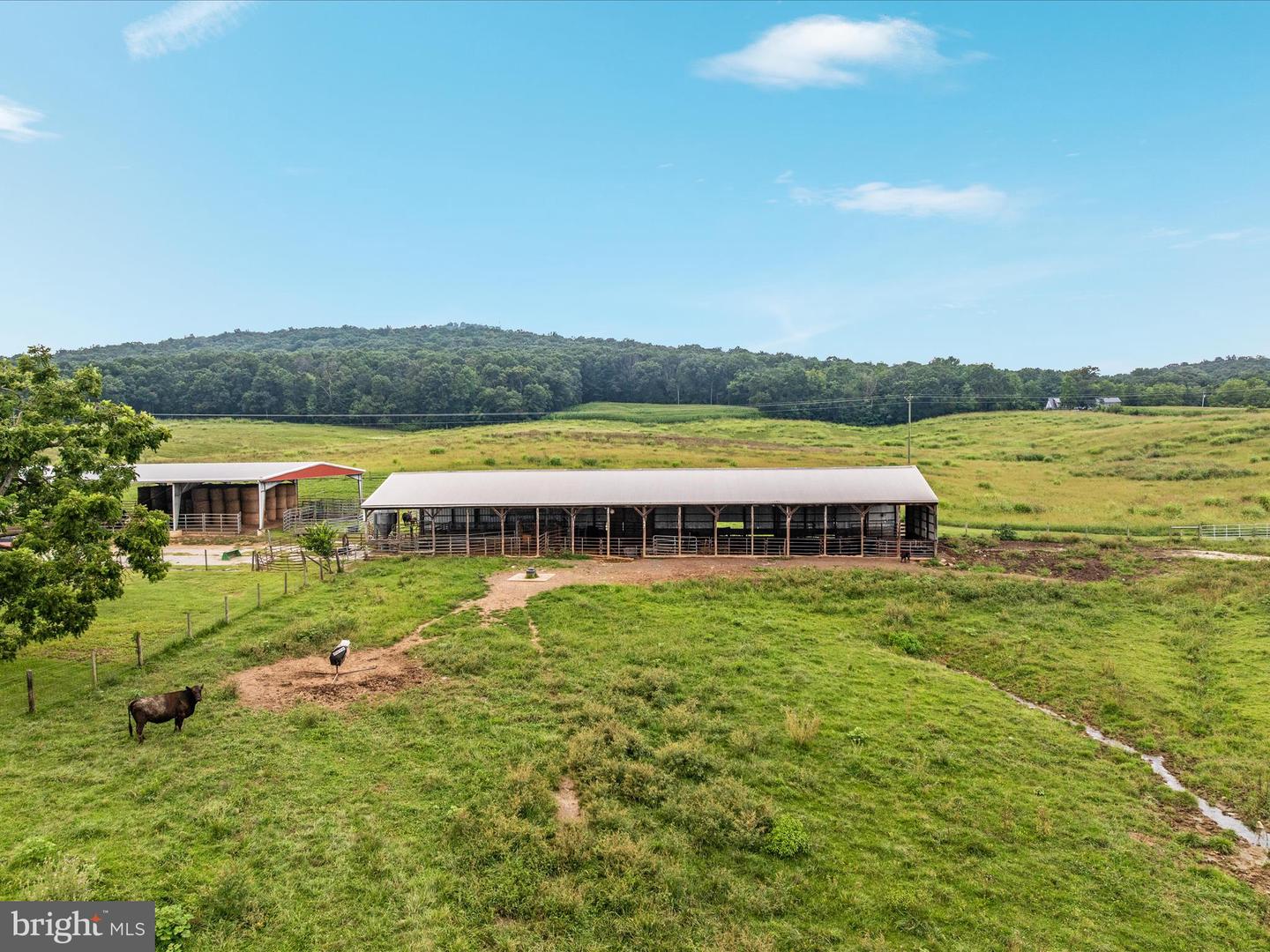 254 CARTE LN, MOUNT JACKSON, Virginia 22842, ,Farm,For sale,254 CARTE LN,VASH2013128 MLS # VASH2013128